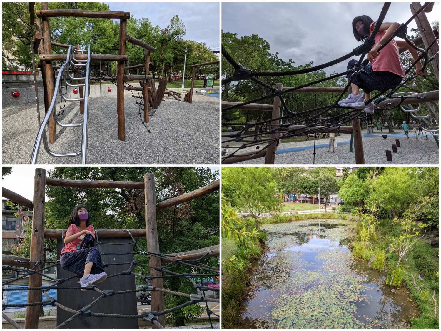 collage文山區興隆公園