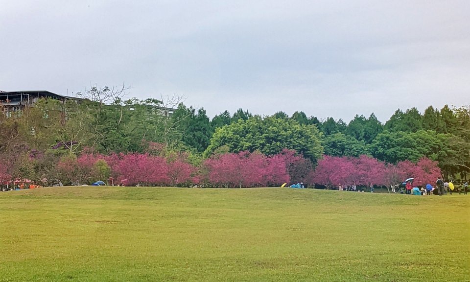 南投埔里 慎重開華 莊園民宿。 以詩意迎賓的美麗莊園 - 第24張圖
