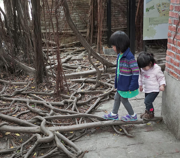 台南小旅行: 十鼓文化園區、台南都會公園奇美博物館、七股鹽山、安平樹屋