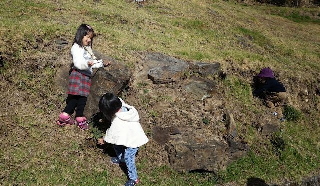 充滿孩子的笑語 清境小旅行 [2Y10M+] 小瑞士紙箱王、黃慶果園民宿的樹屋親子房、博望新村、畜牧步道
