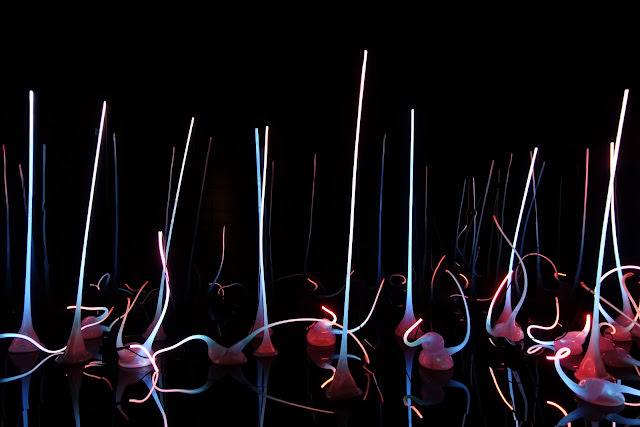 Seattle 西雅圖 Chihuly Garden and Glass 夢幻的奇胡立玻璃花園