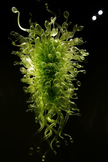 Seattle 西雅圖 Chihuly Garden and Glass 夢幻的奇胡立玻璃花園