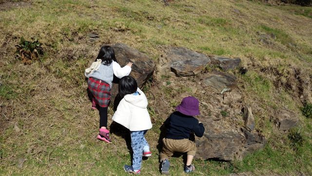 充滿孩子的笑語 清境小旅行 [2Y10M+] 小瑞士紙箱王、黃慶果園民宿的樹屋親子房、博望新村、畜牧步道