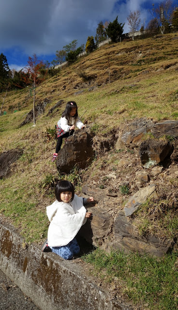 充滿孩子的笑語 清境小旅行 [2Y10M+] 小瑞士紙箱王、黃慶果園民宿的樹屋親子房、博望新村、畜牧步道