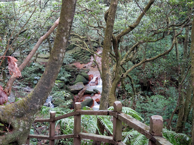 陽明山 松園禪林 風景優美的禪風料理