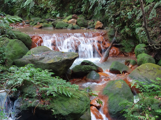 陽明山 松園禪林 風景優美的禪風料理