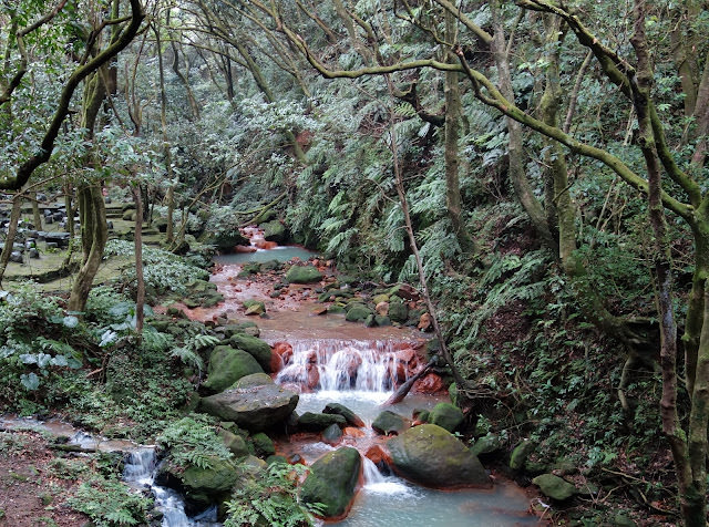 陽明山 松園禪林 風景優美的禪風料理
