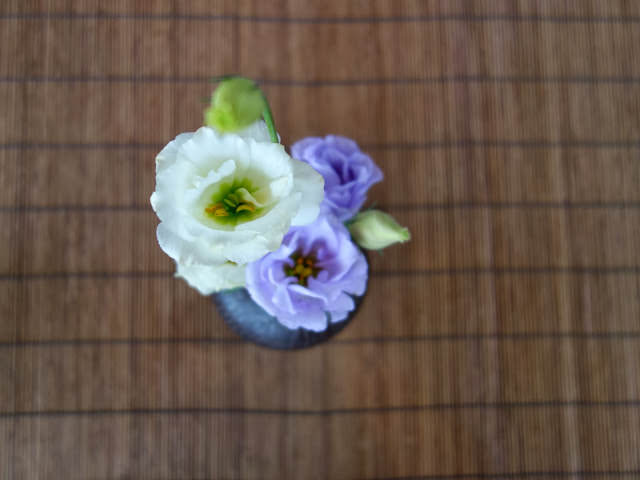 陽明山 松園禪林 風景優美的禪風料理