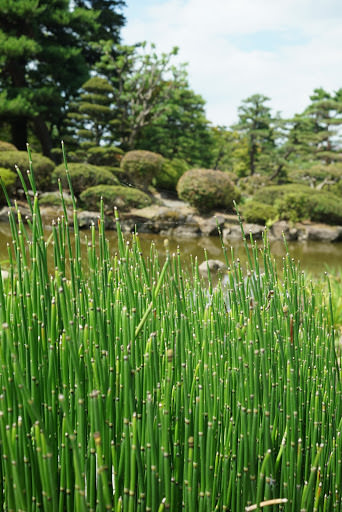 青森縣：藤田記念庭園、弘前城、界 津輕、稻田藝術節