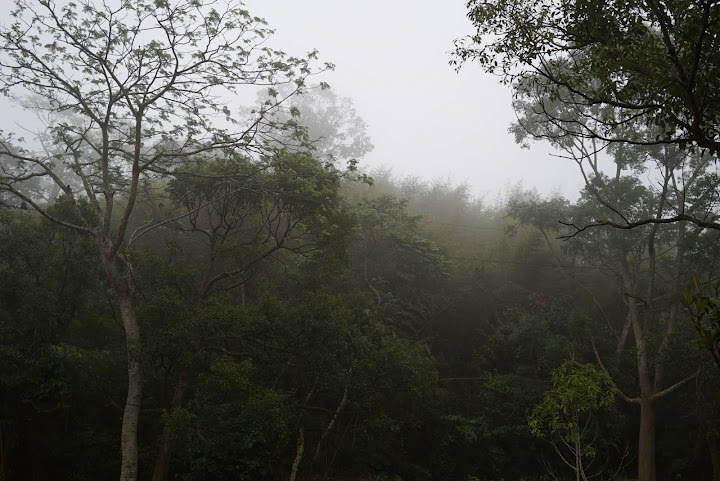 苗栗 不遠山莊露營區 。有很大的草坪，大樹也很漂亮