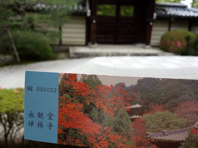 夏季的青楓  京都永觀堂