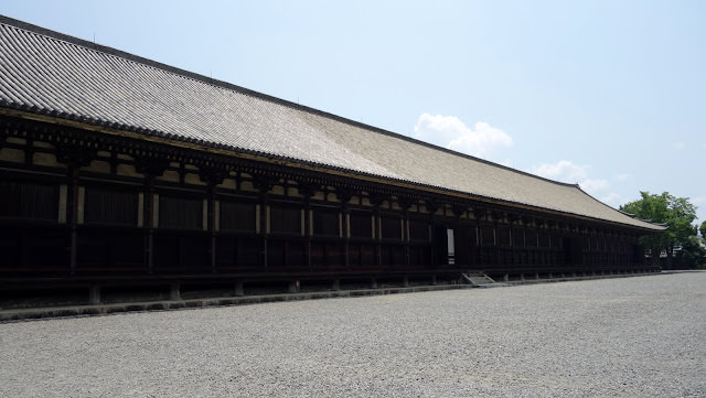 京都 三十三間堂、智積院 令人陶醉的名勝庭園和宝物館內的絢爛畫作