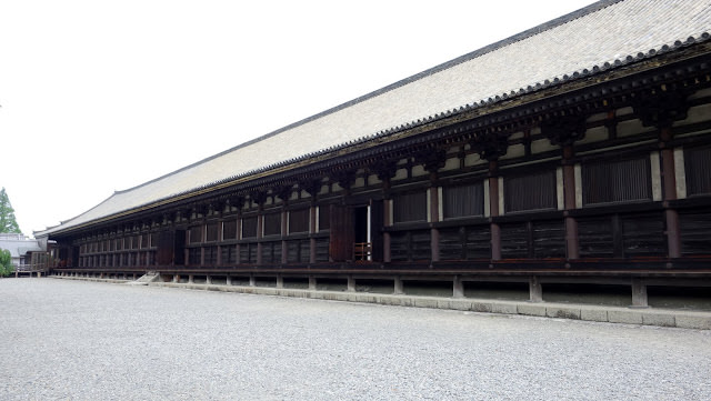 京都 三十三間堂、智積院 令人陶醉的名勝庭園和宝物館內的絢爛畫作