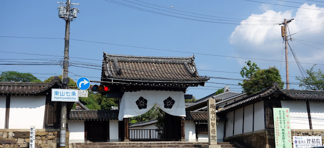 京都 三十三間堂、智積院 令人陶醉的名勝庭園和宝物館內的絢爛畫作