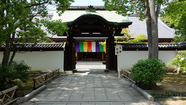 京都 三十三間堂、智積院 令人陶醉的名勝庭園和宝物館內的絢爛畫作
