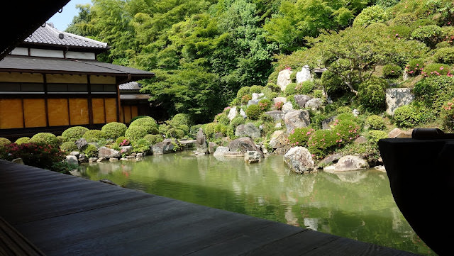 京都 三十三間堂、智積院 令人陶醉的名勝庭園和宝物館內的絢爛畫作