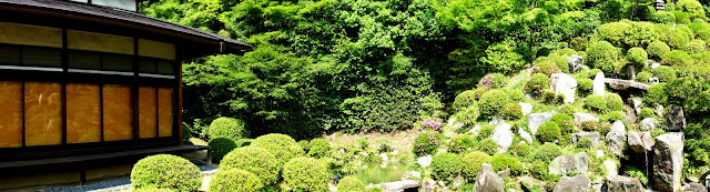 京都 三十三間堂、智積院 令人陶醉的名勝庭園和宝物館內的絢爛畫作