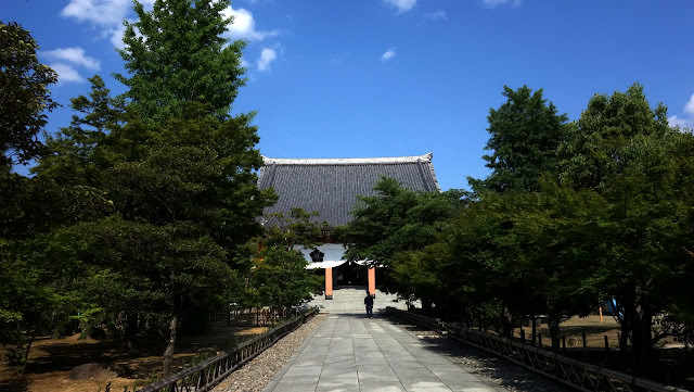 京都 三十三間堂、智積院 令人陶醉的名勝庭園和宝物館內的絢爛畫作