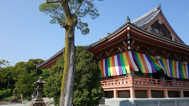京都 三十三間堂、智積院 令人陶醉的名勝庭園和宝物館內的絢爛畫作