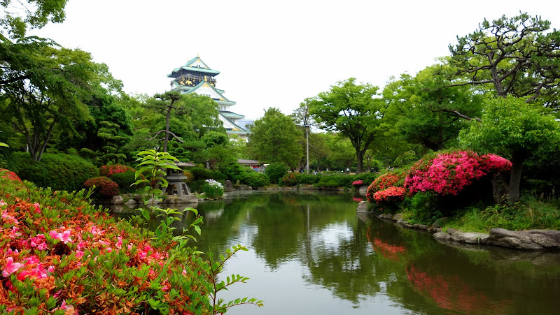 大阪 Osaka: 梅田空中庭園展望台、Kobe Misono、Ramada Osaka Hotel、天守閣 大阪城公園