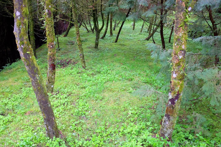 明池國家森林遊樂區 [3Y1M+]