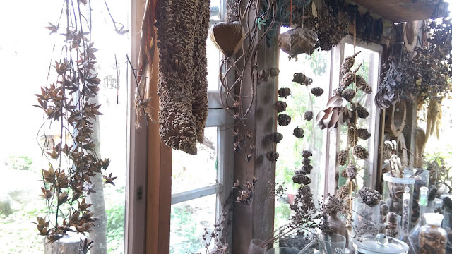 台南 千畦種子博物館，和逸飯店 台南西門館，土溝農村美術館