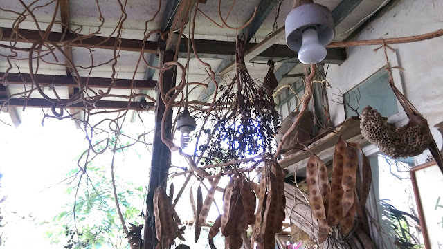 台南 千畦種子博物館，和逸飯店 台南西門館，土溝農村美術館