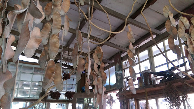 台南 千畦種子博物館，和逸飯店 台南西門館，土溝農村美術館