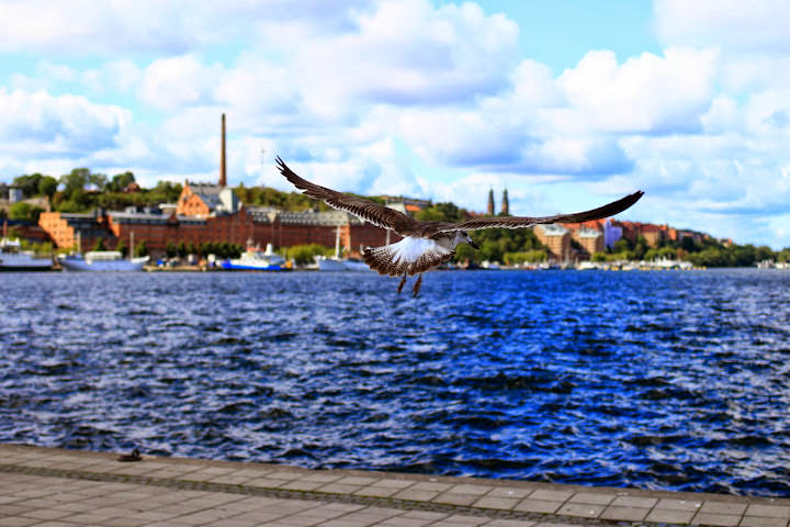 斯德哥爾摩 Camla Stan 舊城區、Royal Canal Tour、Vasamuseet 薩瓦號沉船博物館 和 其他