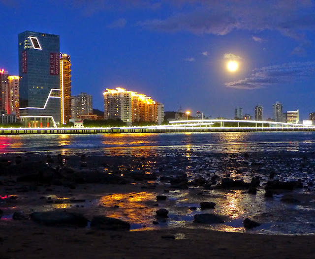 包羅萬象的小小島嶼:  鼓浪嶼