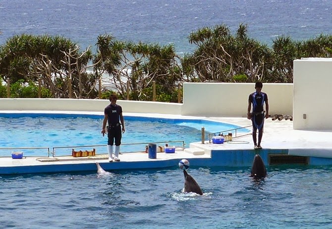 沖繩 美ら海水族館、百年古家大家