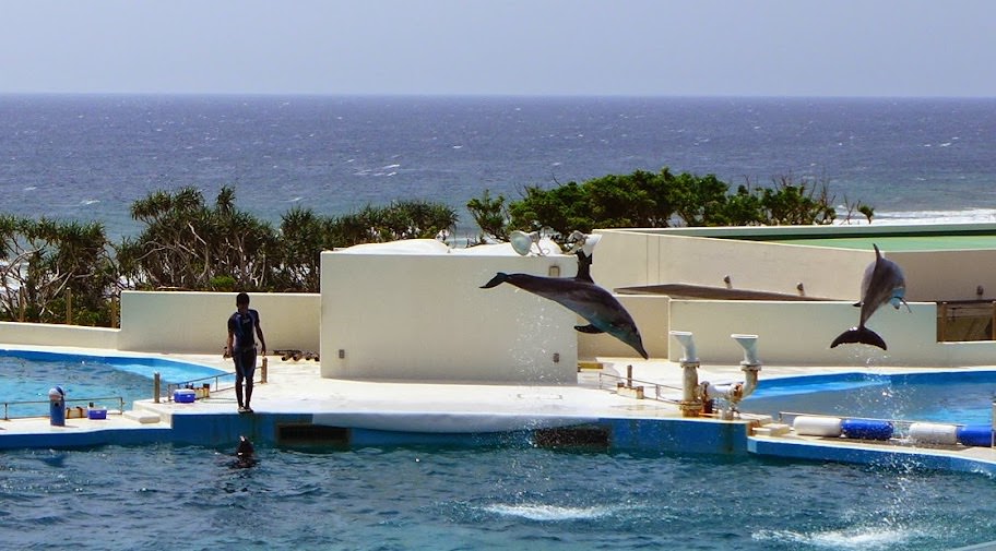 沖繩 美ら海水族館、百年古家大家