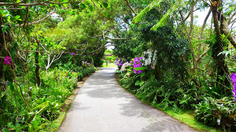 沖繩 Bios之丘  遊御庭 (あしびうなー) 在大草坪上的攀爬設施和樹屋