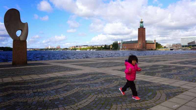 斯德哥爾摩 Camla Stan 舊城區、Royal Canal Tour、Vasamuseet 薩瓦號沉船博物館 和 其他