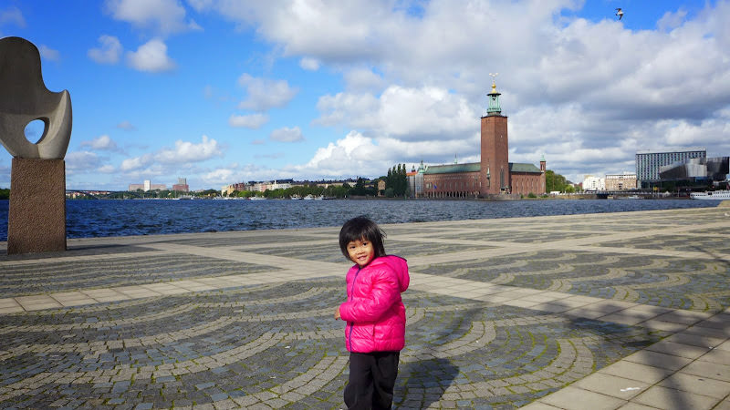 斯德哥爾摩 Camla Stan 舊城區、Royal Canal Tour、Vasamuseet 薩瓦號沉船博物館 和 其他