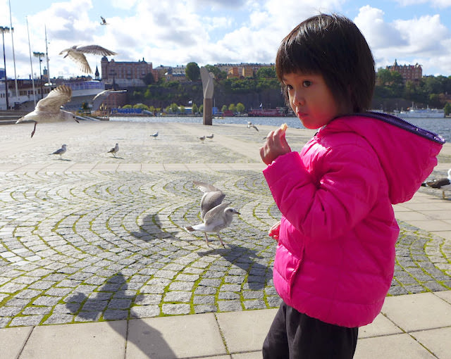 斯德哥爾摩 Camla Stan 舊城區、Royal Canal Tour、Vasamuseet 薩瓦號沉船博物館 和 其他
