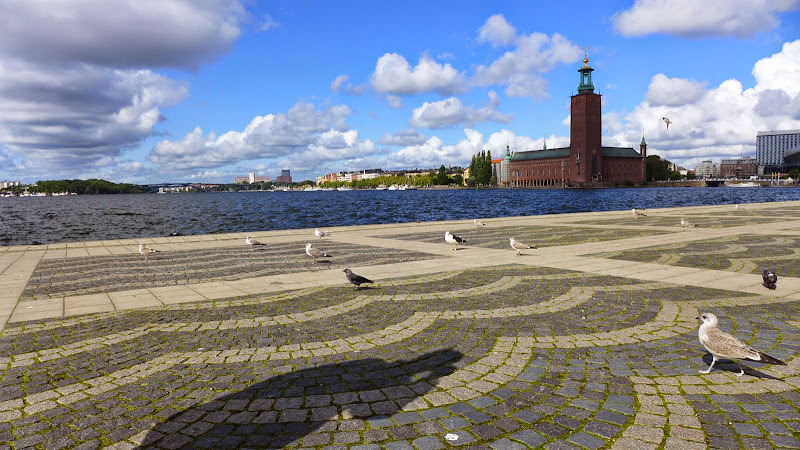 斯德哥爾摩 Camla Stan 舊城區、Royal Canal Tour、Vasamuseet 薩瓦號沉船博物館 和 其他
