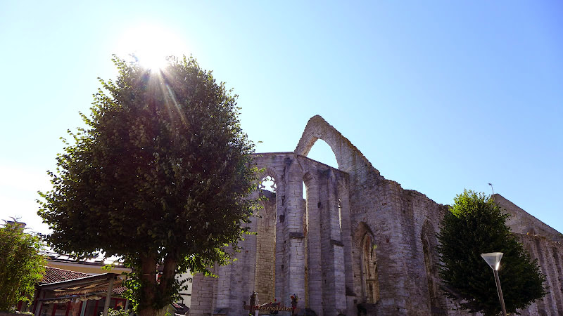瑞典 哥德蘭島 Visby: St. Karins Church Ruin 華麗的拱形、廣場上的市集和童話般的小屋