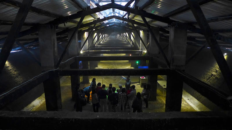 台南小旅行: 十鼓文化園區、台南都會公園奇美博物館、七股鹽山、安平樹屋