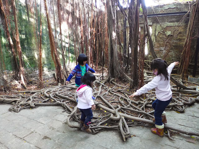 台南小旅行: 十鼓文化園區、奇美博物館、七股鹽山、安平樹屋