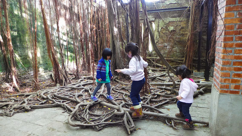 台南小旅行: 十鼓文化園區、台南都會公園奇美博物館、七股鹽山、安平樹屋
