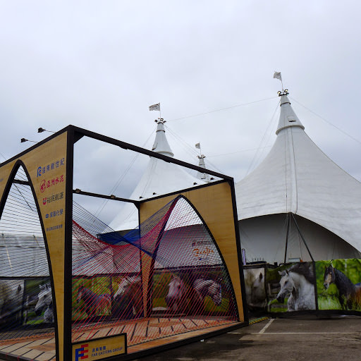 Cavalia 卡瓦利亞劇團 夢幻舞馬