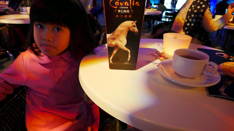 Cavalia 卡瓦利亞劇團 夢幻舞馬