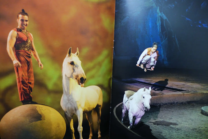 Cavalia 卡瓦利亞劇團 夢幻舞馬