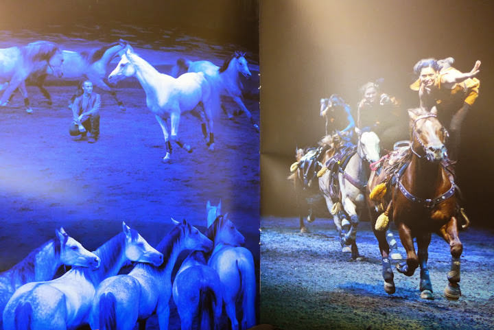 Cavalia 卡瓦利亞劇團 夢幻舞馬