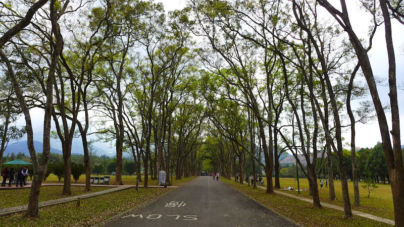 南投 民宿露營小旅行 [4Y1M+]:  紙教堂、魚雅筑民宿、日月潭自行車道、向山遊客中心、三育書院
