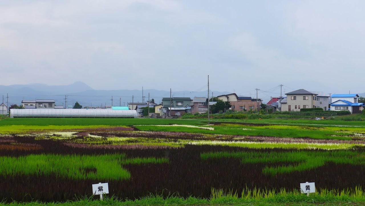 青森縣：藤田記念庭園、弘前城、界 津輕、稻田藝術節