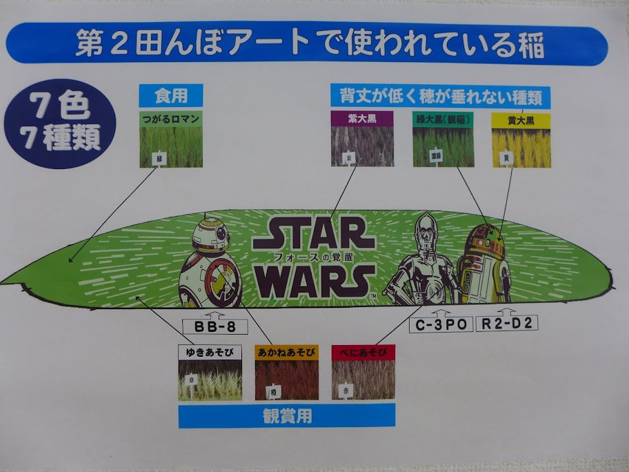 青森縣：藤田記念庭園、弘前城、界 津輕、稻田藝術節