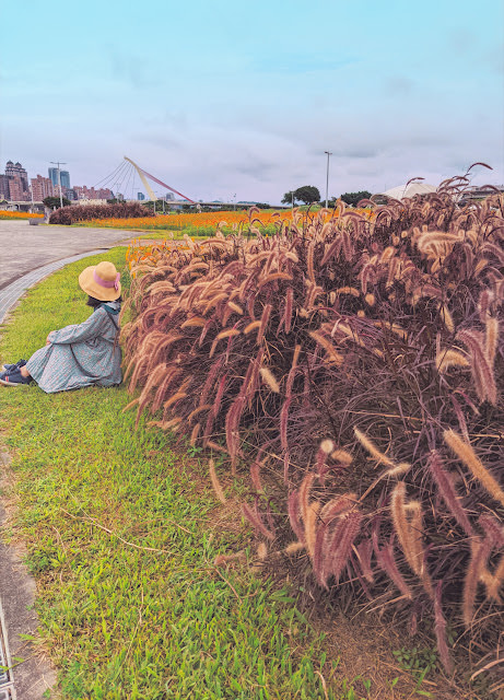 影片日記2022年5月: 夜景集合、桃園繡球花季、百吉休閒農場金針花海、大古山野百合花季、崙坪文化地景園區、大佳河濱公園 - 第11張圖 影片日記2022年5月: 夜景集合、桃園繡球花季、百吉休閒農場金針花海、大古山野百合花季、崙坪文化地景園區、大佳河濱公園