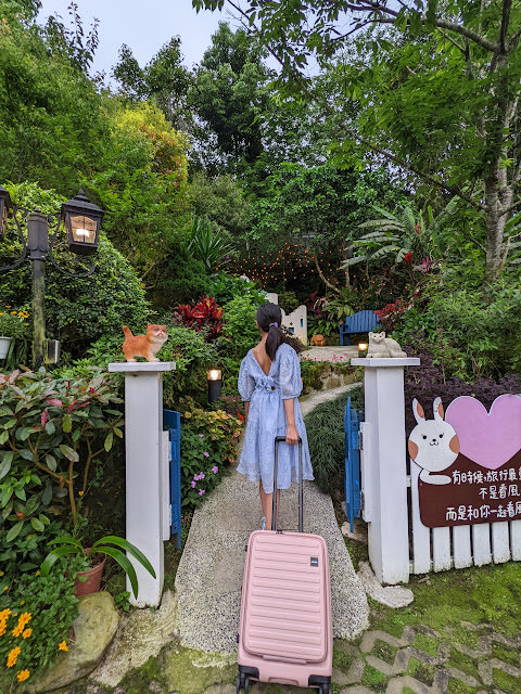 童話般的山城小旅行: 南庄橄欖樹,42份湧泉自然生態步道,相遇森林屋 - 第2張圖 童話般的山城小旅行: 南庄橄欖樹,42份湧泉自然生態步道,相遇森林屋